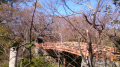 高遠城跡公園