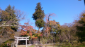 高遠城跡公園