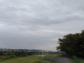 色づいてきました♪