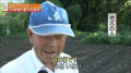 雑感（いさぎよい編）