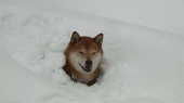 正常値に♪…↑ 画像3