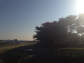 あと５日♪