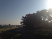 あと５日♪ 画像1