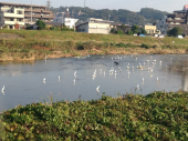 今年一番の冷え込み♪ 画像3
