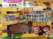 スロベニアとスロバキア、スゲー 画像3
