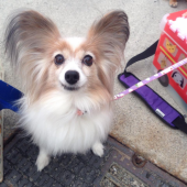 ☆モテモテしずか☆ 画像1