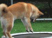 PC調整終わり！…↑ 画像1