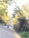 ☆ゆったりの休日☆