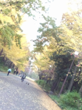☆ゆったりの休日☆ 画像3