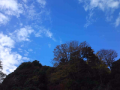 1118  回復食2日目。