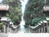 1118  回復食2日目。 画像3