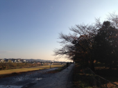おでん評論家♪ 画像2