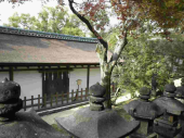 1127  奈良観光 画像2