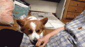 もうすぐ師走…↓ 画像2