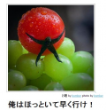雑感（イラッとくる編）