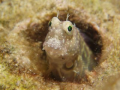 癒される～(2)