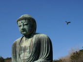 大仏ハイキングコース 画像3