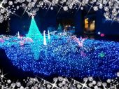 ☆平日は夜遊び禁止です(＿＿*) 画像1