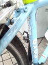 ☆ほっこりゆず湯、、、☆
