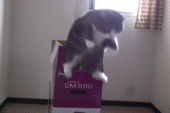 どや!(￣＾￣）…↑ 画像1