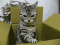 どや!(￣＾￣）…↑