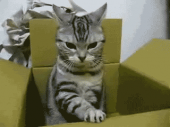 どや!(￣＾￣）…↑ 画像2