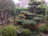 初雪。 画像1