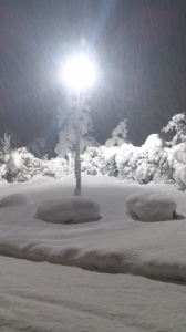 こどもの国までジョギング 雪 画像1