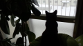 どか雪！！