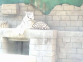 ☆はじめての東武動物公園☆