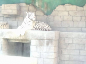 ☆はじめての東武動物公園☆ 画像1