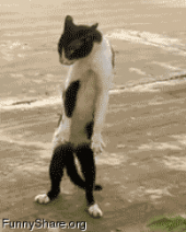 大晦日だねぇ＾＾…↑ 画像2