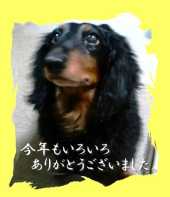 大晦日ですね 画像1