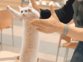 あけおめ♪…↓ 画像1