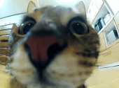 あけおめ♪…↓ 画像2