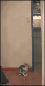 あけおめ♪…↓ 画像3