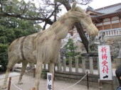 no title 画像2