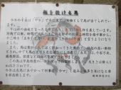no title 画像3