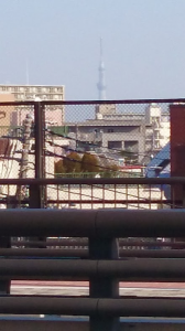 走り初め。 画像2