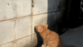 断酒6日目…↓ 画像3