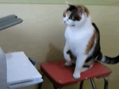 レコード♪…↓ 画像2