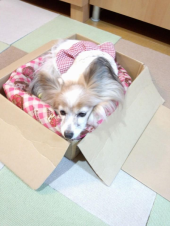 ☆職場の騒音、、、☆ 画像1