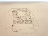 ☆職場の騒音、、、☆ 画像2