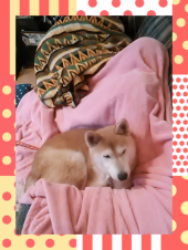 ☆日は伸びたけど 画像1