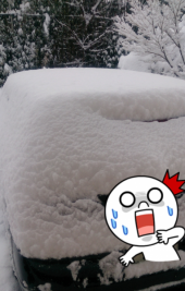 ピキ！！！！！！ 画像2