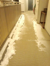 ☆はじめての雪かき☆ 画像2
