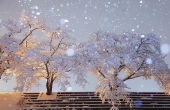 雪でした 画像1
