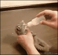 なっちまった…↓