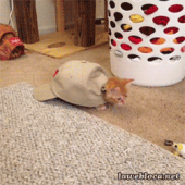美味かった♪…↑ 画像2