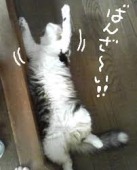 『目標達成（｀・ω・´）vイェイ！ 』 画像1